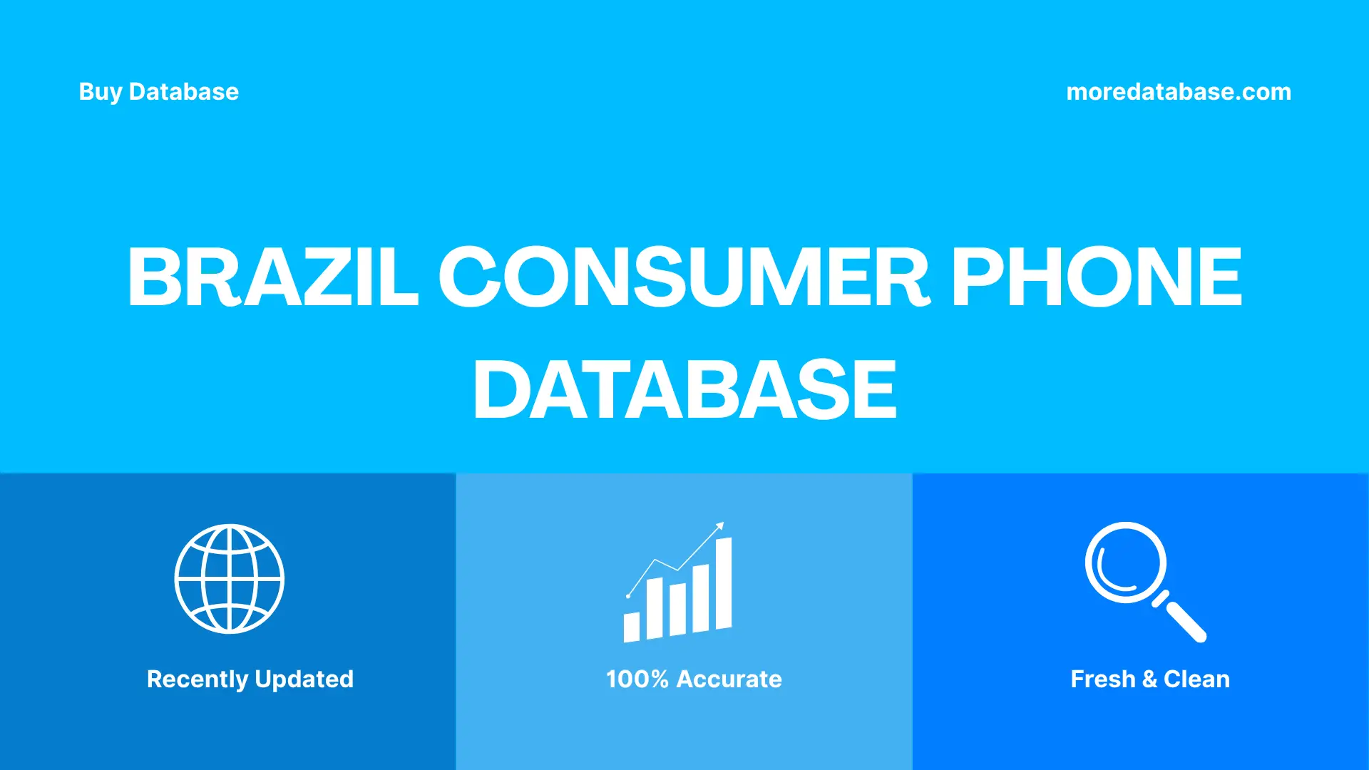 Brazil Consumer Phone Database